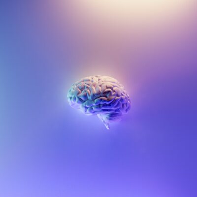 An image of a brain is illuminated by a soft light in a blue-and-purple hue.