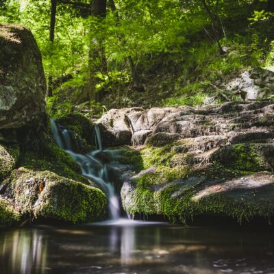 A waterfall pours into a swimming hole surrounded by trees and mossy boulders.